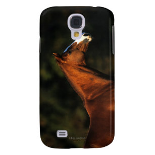 Thoroughbred-PferdeHeadshot Galaxy S4 Hülle