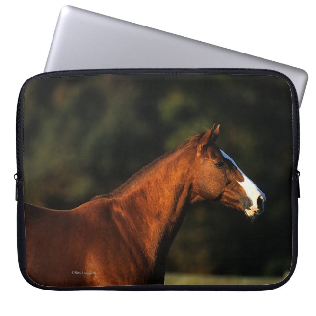 Thoroughbred-PferdeHeadshot Laptopschutzhülle (Vorderseite)