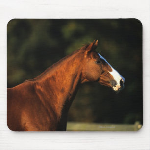 Thoroughbred-PferdeHeadshot Mousepad