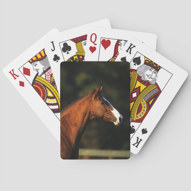 Thoroughbred-PferdeHeadshot Spielkarten (Rückseite)
