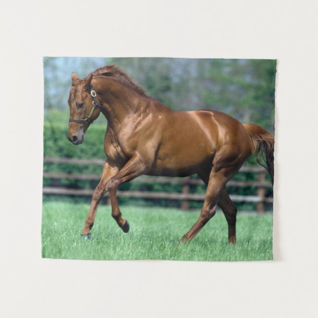 Thoroughbred Stallion, Irland Wandteppich (Vorderseite (Horizontal))
