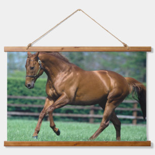 Thoroughbred Stallion, Irland Wandteppich Mit Holzrahmen