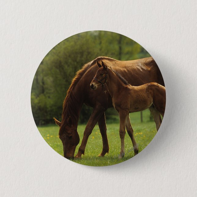 Thoroughbred-Stute u. Fohlen 2 Button (Vorderseite)
