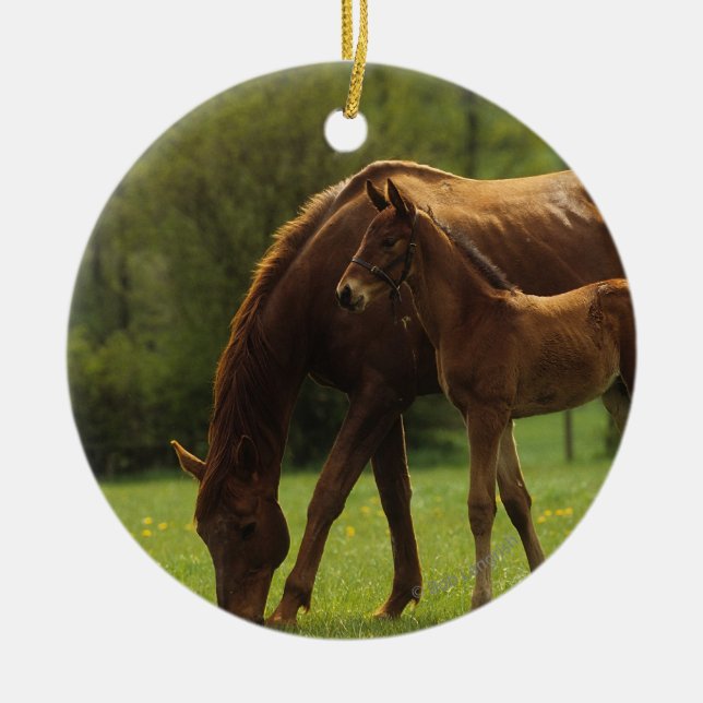 Thoroughbred-Stute u. Fohlen 2 Keramikornament (Vorne)