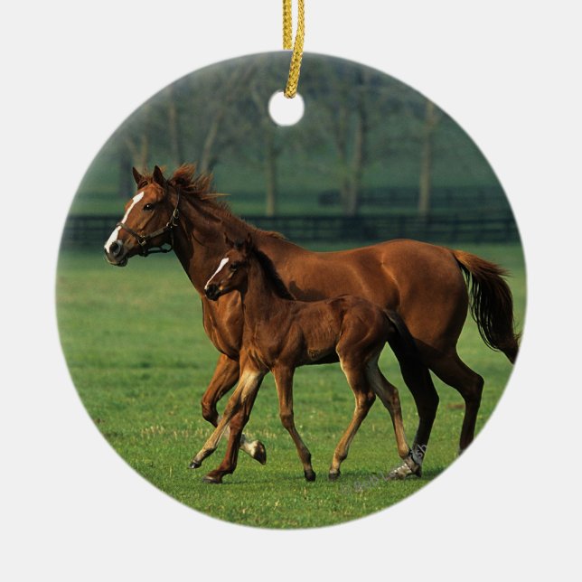 Thoroughbred-Stute u. Fohlen 3 Keramikornament (Vorne)