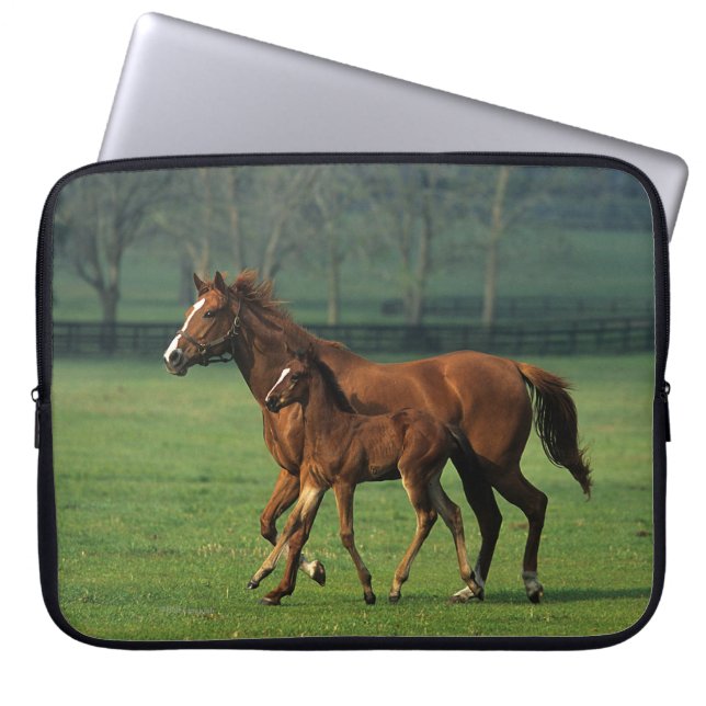 Thoroughbred-Stute u. Fohlen 3 Laptopschutzhülle (Vorderseite)