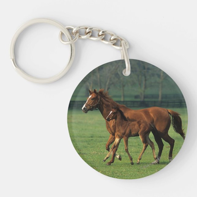Thoroughbred-Stute u. Fohlen 3 Schlüsselanhänger (Vorderseite)