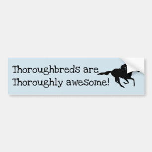 Thoroughbreds sind fantastisch! autoaufkleber