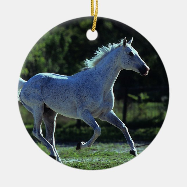 Thoroughbredstallions-Betrieb Keramikornament (Vorne)
