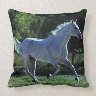 Thoroughbredstallions-Betrieb Kissen