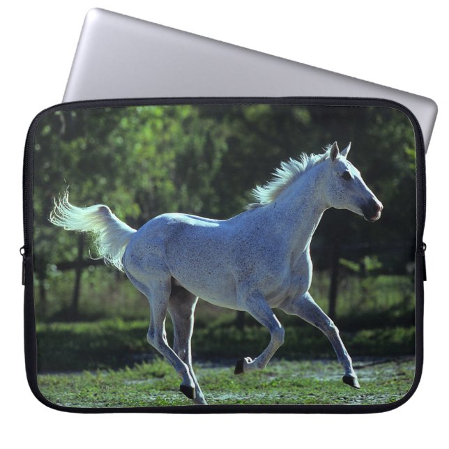 Thoroughbredstallions-Betrieb Laptopschutzhülle (Vorderseite)