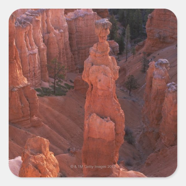 Thor's Hammer Hoodoo auf Navajo Trail Quadratischer Aufkleber (Vorderseite)