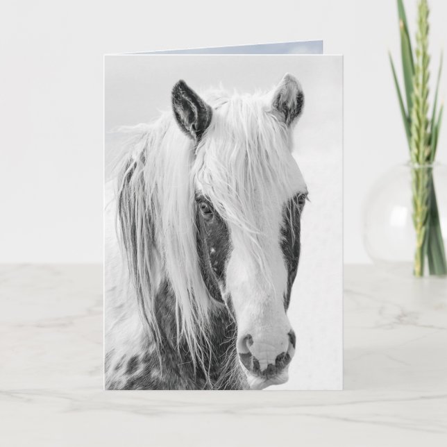 Thor's letzte Portrait Grußkarte Einladung (Vorderseite)