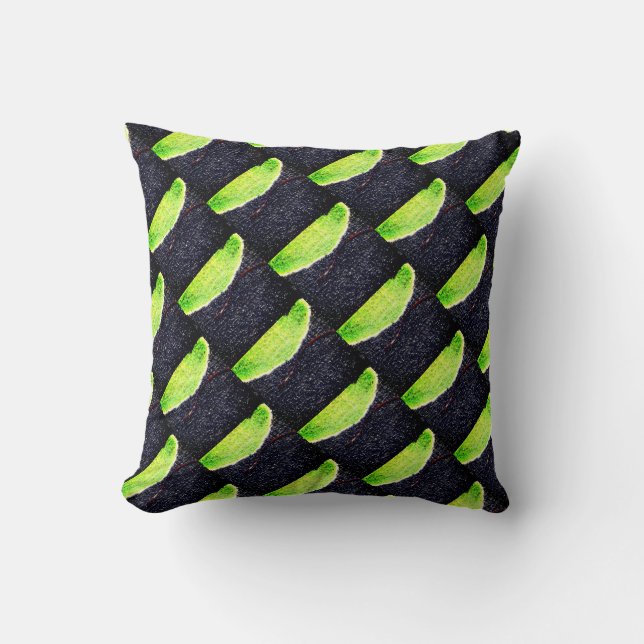 THP - 081 - Coussin de jet (Recto)