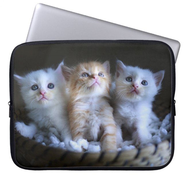 Three Amigos Laptopschutzhülle (Vorderseite)