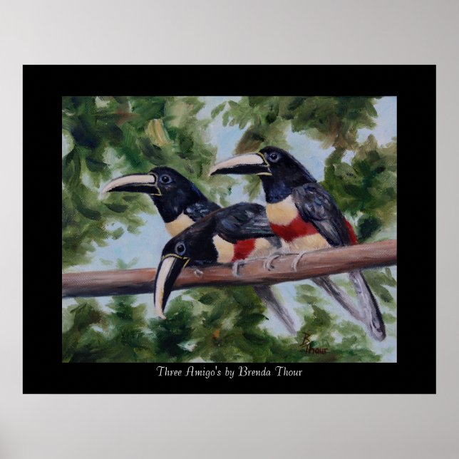 Three Amigos Toucan Poster Print (Vorne)