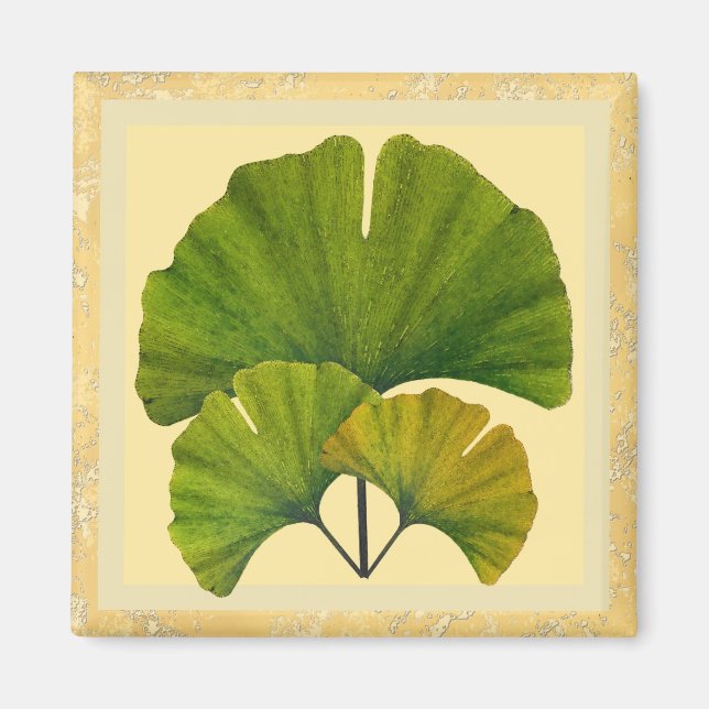 Three Arts and Crafts Ginkgo Leaves Magnet (Vorne)