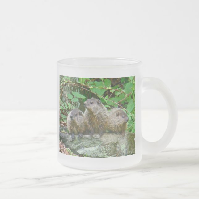 Three Baby Groundhogs Mattglastasse (Rechts)