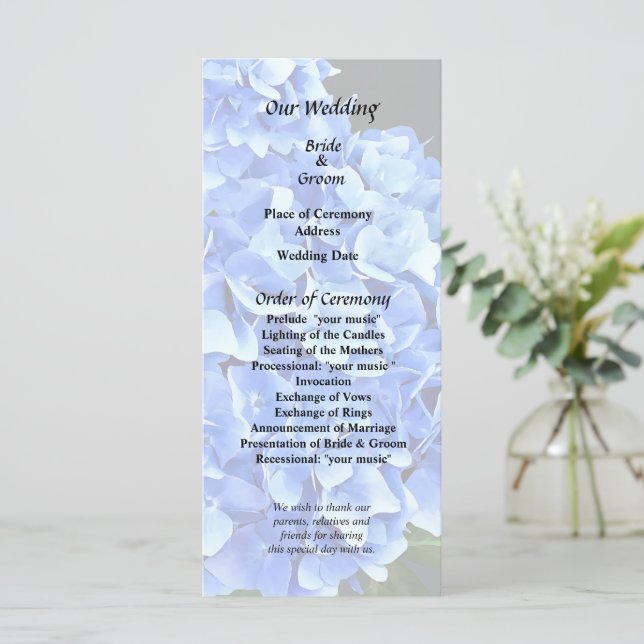 Three Blue Hydrangea Programm (Stehend Vorderseite)