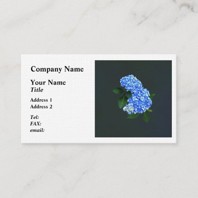 Three Blue Hydrangea Visitenkarte (Vorderseite)