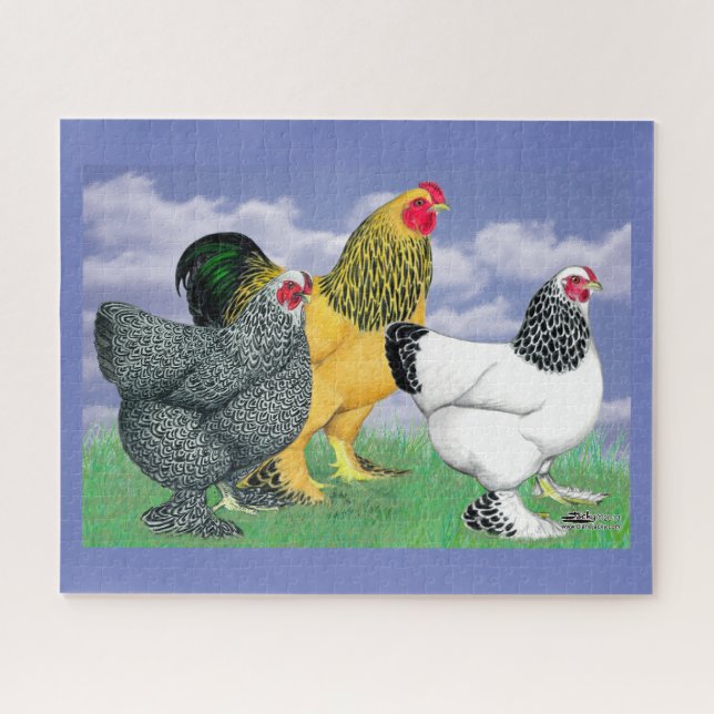 Three Brahmas (Horizontal)