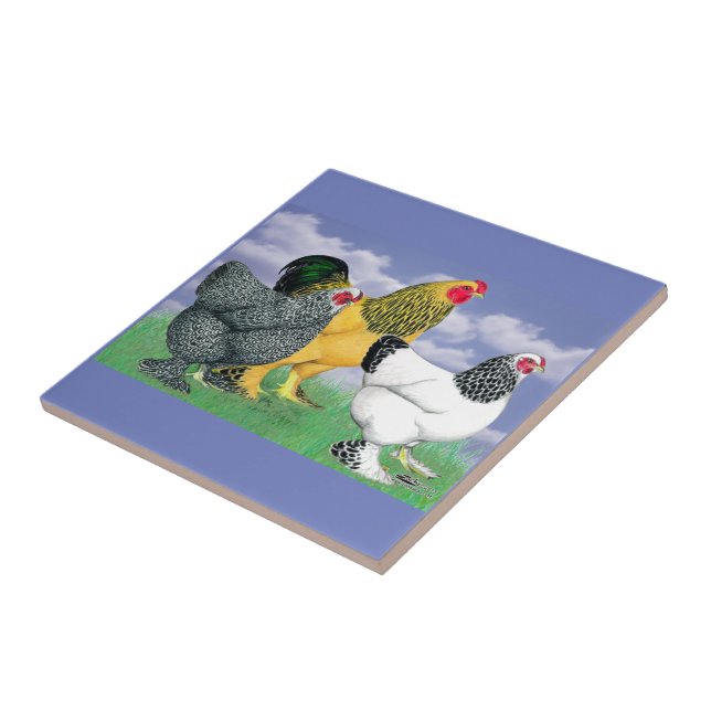 Three Brahmas Fliese (Seite)