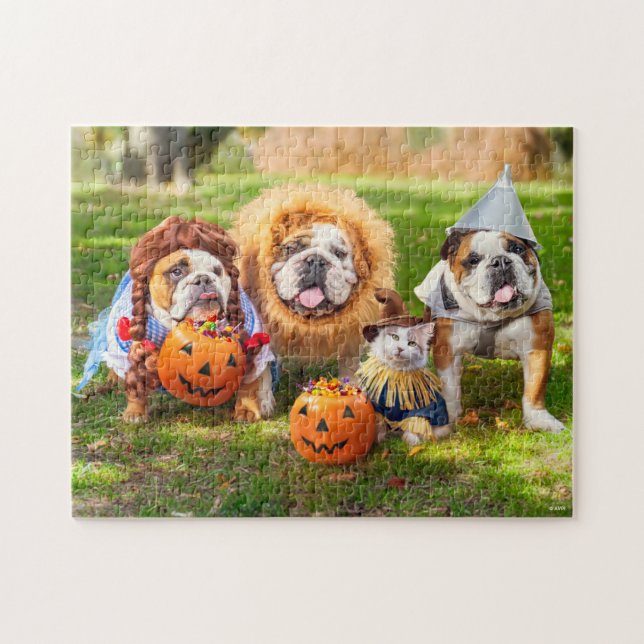 Three Bulldogs in Costumes (Horizontal)