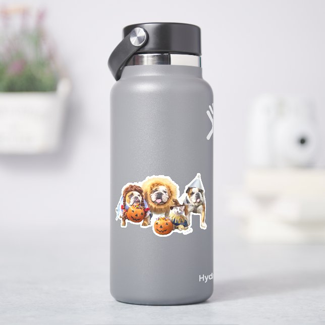 Three Bulldogs in Costumes Aufkleber (HydroFlask)