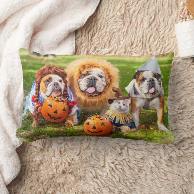 Three Bulldogs in Costumes Lendenkissen (Decke)