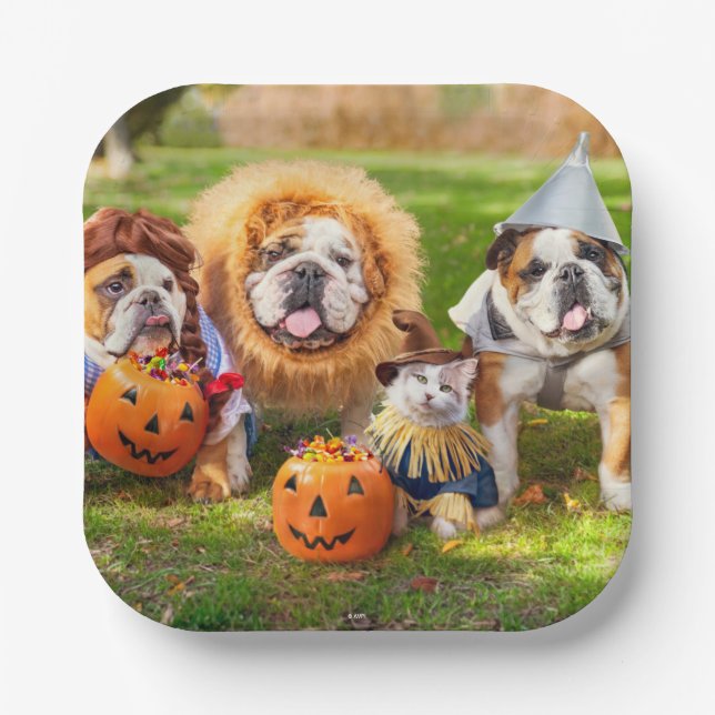 Three Bulldogs in Costumes Pappteller (Vorderseite)