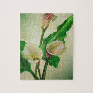 Three Calla Lilies Atemberaubend Botanical Acrylic