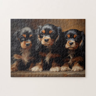 Three Cavalier King Charles Spaniel Welpen