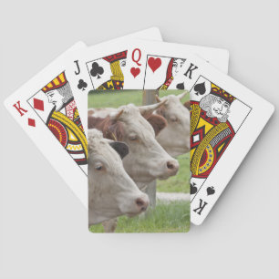 Three Cows in a Row Playing Cards Spielkarten