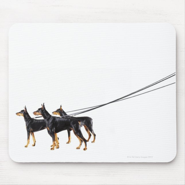Three Dobermans on leash Mousepad (Vorne)