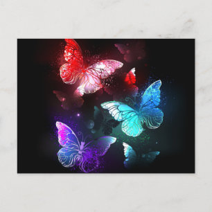 Three Glowing Butterflies on night background Ankündigungspostkarte