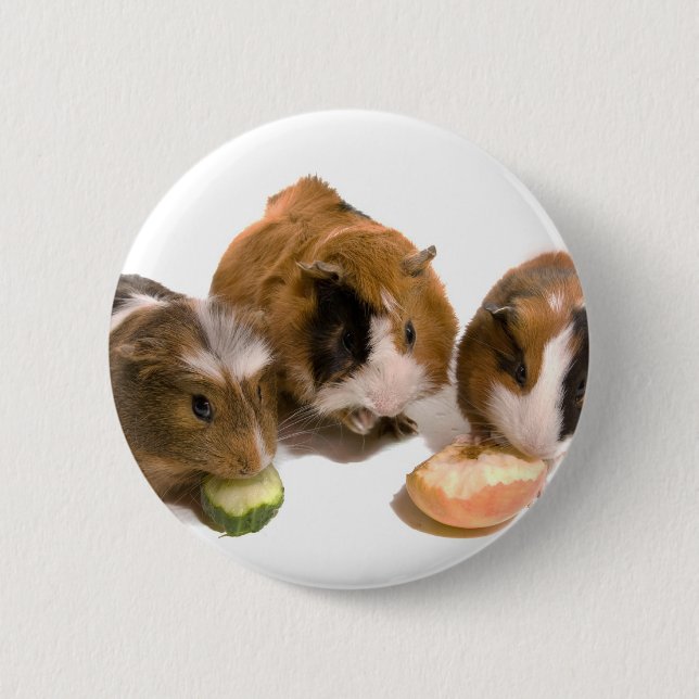 three guinea pigs who eat, button (Vorderseite)