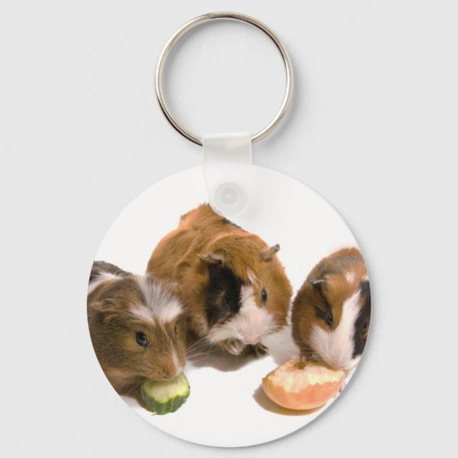 Three guinea pigs who eat schlüsselanhänger (Vorderseite)