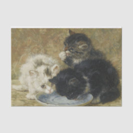 Three Kittens von Henriette Ronner Knip Seidenpapier