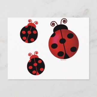 Three Ladybugs Postkarte