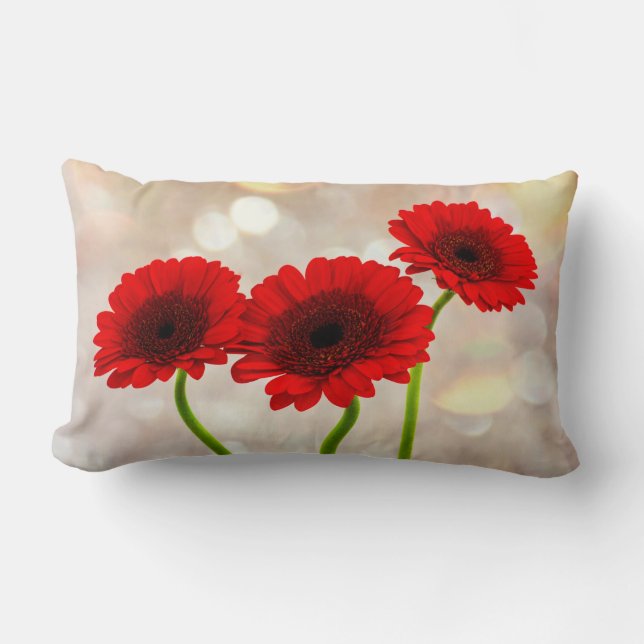Three Little Red Gerberas Lendenkissen (Vorderseite)