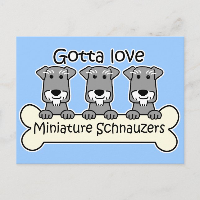 Three Miniature Schnauzers Postkarte (Vorderseite)