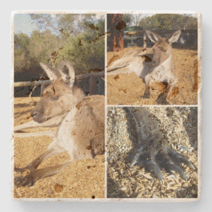 Three Picture Kangaroo Foto Collage, Steinuntersetzer