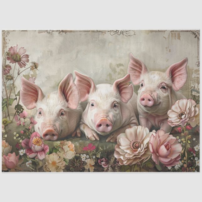 Three Pinky Pigs Seidenpapier (Vorderseite)