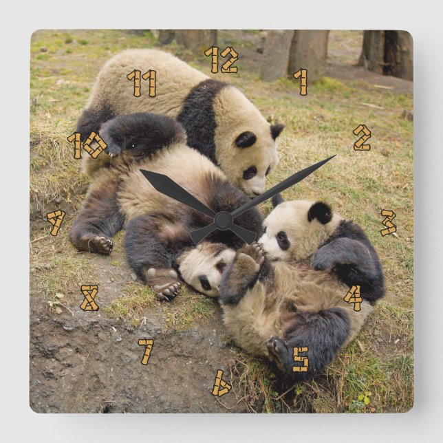 Three Playing Panda Cubs Wall Clock Quadratische Wanduhr (Vorderseite)