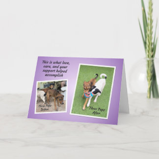 Three Pups TCHS Thank You Karte