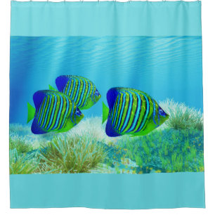 Three Regal Angelfish Duschvorhang