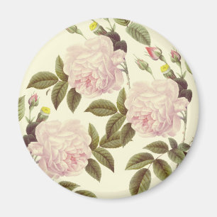 Three Rose Cream Magnet