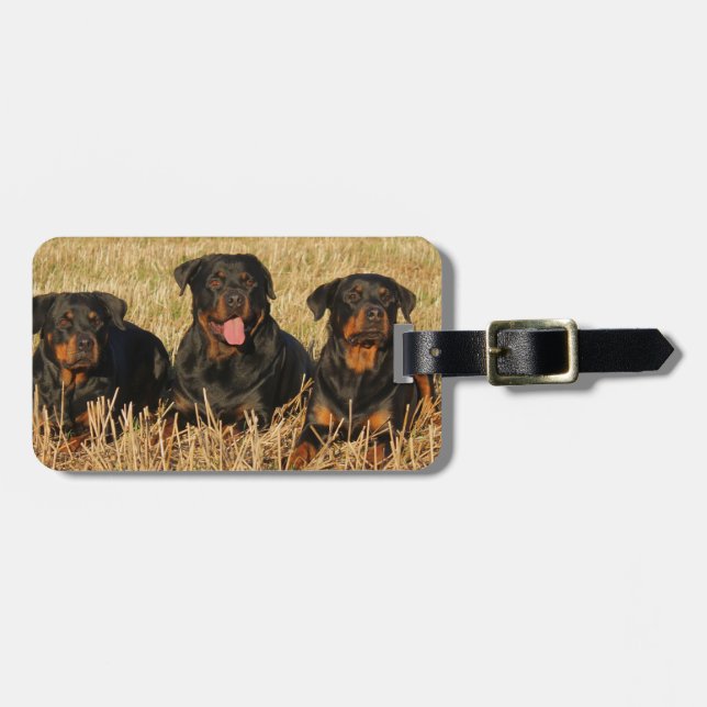 Three Rottweiler Dogs - Pack of Rotties Gepäckanhänger (Vorderseite horizontal)