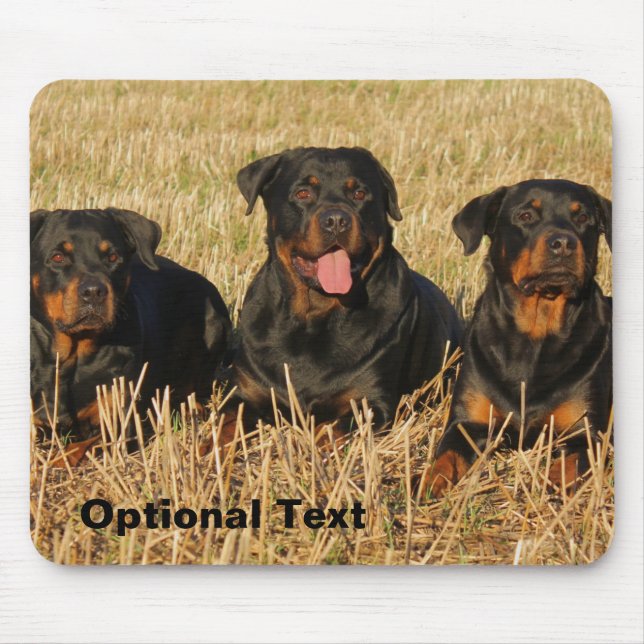 Three Rottweiler Dogs - Pack of Rotties Mousepad (Vorne)
