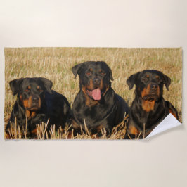 Three Rottweiler Dogs - Pack of Rotties Strandtuch